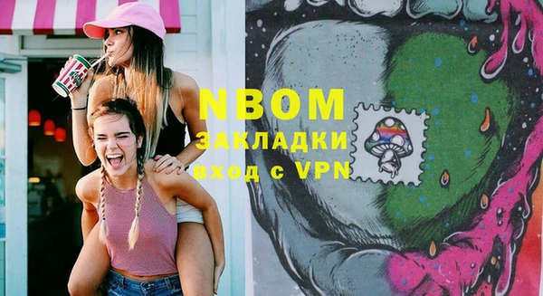 крисы Баксан