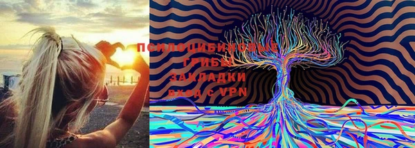 крисы Баксан