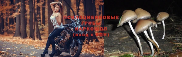 мефедрон VHQ Беломорск