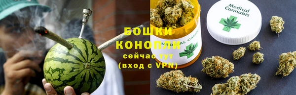 крисы Баксан