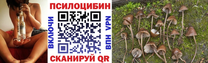 Псилоцибиновые грибы Cubensis  Кумертау 